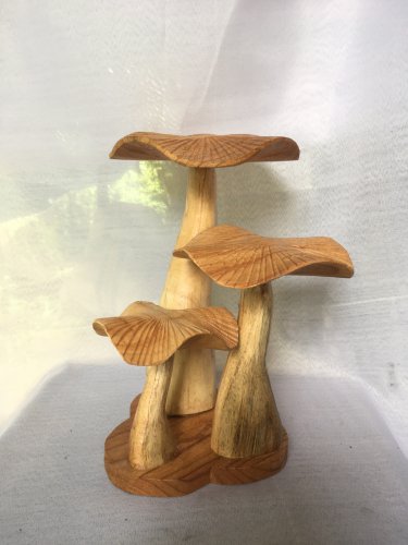 Threeshrooms