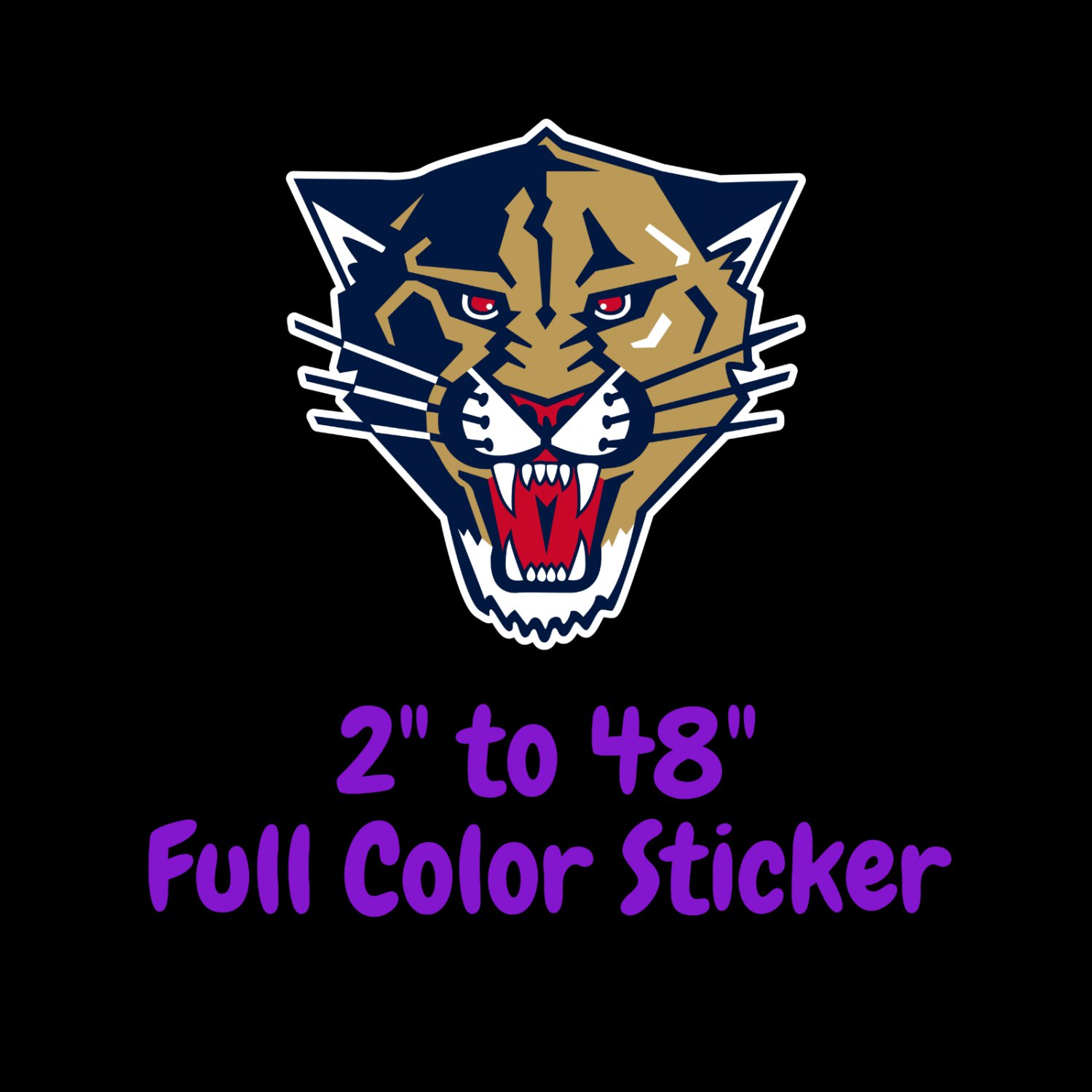 Florida Panthers Full Color Vinyl Decal | Hydroflask decal | Cornhole decal 5