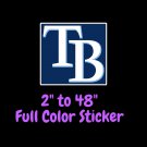 Tampa Bay Rays Full Color Vinyl Decal | Hydroflask decal | Cornhole decal 4
