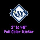 Tampa Bay Rays Full Color Vinyl Decal | Hydroflask decal | Cornhole decal 3