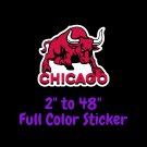 Chicago Bulls Full Color Vinyl Decal | Hydroflask decal | Cornhole decal 4