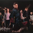 NEW "Harry Potter And The Goblet Of Fire" Lithograph 2006(DVD Store Promo Item) ~ FREE SHIPPING !