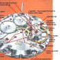 VOSTOC VOSTOK WOSTOC WOSTOK WRIST WATCH REPAIR SERVICE MOVEMENT MAINTENANCE USSR