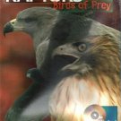 Raptors: Birds of Prey (PC/MAC-CD, 1996) for Win/Mac - NEW Sealed BOX Raptors: Birds of Prey (PC/MAC-CD, 1996) for Win/Mac - NEW Sealed BOX
