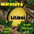 LILIKOI Passiflora edulis Yummy Yellow PASSION FRUIT 50 LIVE SEEDS Hawaii seller