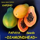 ~DIAMONDHEAD~ PAPAYA Hybrid KAPOHO SOLO BEST Papaya UH Cultivar 30+ SEED
