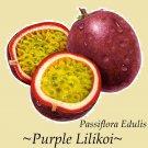 Purple Lilikoi~ Passiflora edulis EDIBLE VINE Purple Passion Fruit 25 SEEDS