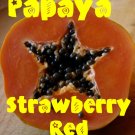 Sunset Papaya~ STRAWBERRY RED PAPAYA Hybrid SOLO 30+ SEEDS TASTY UH Cultivar