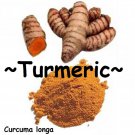TURMERIC~ SPICE Curcuma longa BUY 3 get 4th FREE Orange Ginger Rhizome (Single)