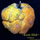 ~KWAI MUK~ Artocarpus hypargyraeus Rare Fruit Tree Live Small Potd Plant Starter