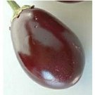 RAVAYYA EGGPLANT Seeds Non-GMO Organic India Heirloom Garden/Containers