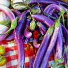 LONG PURPLE EGGPLANT Seeds ORGANIC Same Day Shipping Tracking HEIRLOOM Garden