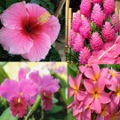 Pink Hawaiian Tropical Mix: Cattleya, Plumeria,Ginger, Hibiscus