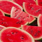Juicy Red Watermelon USA Large Summer Time Planting Garden Fruit