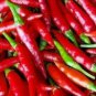 Thai Chili Hot pepper Seeds Birds Eye