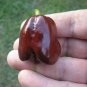 Jamaican Hot Chocolate Peppers