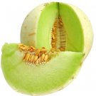 honeydew spring super sweet fresh melon fruit heirloom  100 seeds high germation