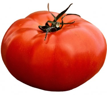 tomato all-american giant beefsteak massive fruits heirloom vegetable 150 seeds high germation