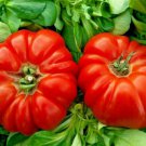 rare giant oxheart tomato huge tasty american heirloom juicy 30 seeds high germation