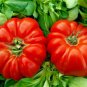 rare giant oxheart tomato huge tasty american heirloom juicy 30 seeds high germation