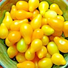 tomato yellow pear cherry rare heirloom vegetable garden 30 seeds high germation