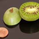 100 seed per pack Actinidia arguta Siberian or Dessert Kiwi