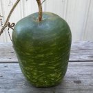 5 See seed per pack Lagenaria siceraria Hard-shelled Gourd Calabash Tinda Gourd Apple