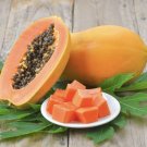 Papaya organic plant with organic pot included