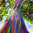 50 Rainbow Eucalyptus Deglupta Tree Seed Fast Tropical Indonesian Mindanao Gum