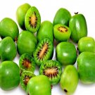 50 Issai Kiwi Seed Arctic Grape Super Garden Cold Fast Vine