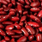 Dark Red Kidney Bush Bean Baked Beans and Chili  one pack seed local US