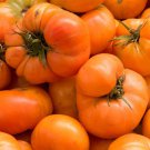 Amana Orange Tomato Rare Heirloom  one pack seed local US