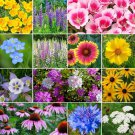 Deer Resistant Wildflower Mix 13 Species  one pack seed local US