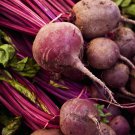 Detroit Dark Red Beet Detroit Globe Heirloom one pack seed local US
