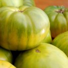Aunt Ruby's German Green Tomato 30  one pack seed local US
