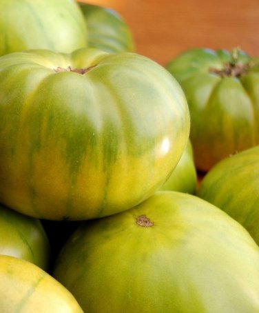 Aunt Ruby's German Green Tomato 30  one pack seed local US