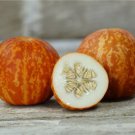 Tigger Melon Beautiful and Aromatic Organic  one pack seed local US