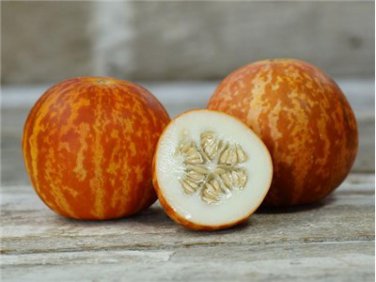 Tigger Melon Beautiful and Aromatic Organic  one pack seed local US