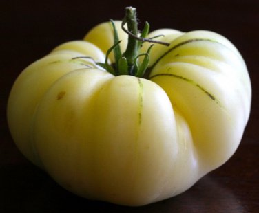 White Wonder Beefsteak Tomato  one pack seed local US