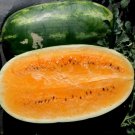 Tendersweet Orange Watermelon Very Sweet Heirloom one pack seed local US