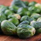 Catskill Brussels Sprouts Variety Packet Sizes one pack seed local US