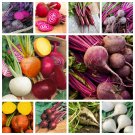 Beet Collection 10 Varieties to Choose From one pack seed local US