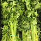 Chinese Celery Yellow Stem Heirloom one pack seed local US
