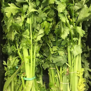 Chinese Celery Yellow Stem Heirloom one pack seed local US