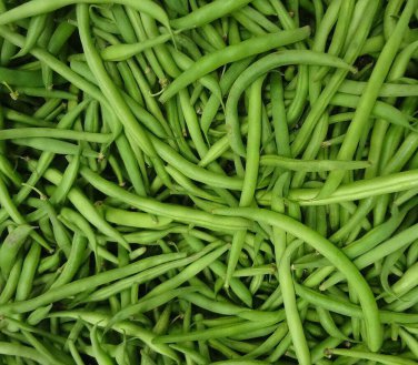 Burpee Stringless Green Bean 1/4 LB  one pack seed local US