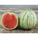 Dixie Queen Watermelon Cuban Queen Crimson Heirloom one pack seed local US