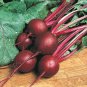 Ruby Queen Beet Mild Buttery Beet Heirloom one pack seed local US