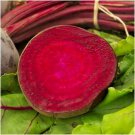 101  Bulls Blood Beet Seedsvegetable