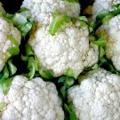 401 Snowball Cauilflower Seedsvegetable