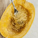 31 Spaghetti Squash Seedvegetable
